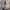 Converse Low CTAS GREY SUEDE ROSE GOLD 41 photo 5