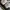 Converse Low CTAS Canvas GREY SUEDE ROSE GOLD 41 photo 4