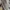 Converse Low CTAS Canvas GREY SUEDE ROSE GOLD 41 photo 2