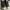 Converse CT Low Leather Black White Japan Market 41 photo 1