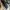 Converse CT Low Leather Black White Japan Market 41 photo 3