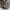 Converse CT Low Leather Black White Japan Market 41 photo 5