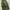 GU Super Wide Cargo Pants