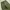 GU Super Wide Cargo Pants photo 3
