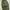 GU Super Wide Cargo Pants