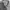 Big John Chambray Japanese Double pocket photo 3