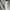 Converse Low Leather BIALE WHITE 42 photo 3