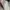 Converse Low Leather BIALE WHITE 42 photo 2