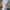 Converse Low Star Player Belmont Ox Cloudy Daze 43 photo 3