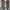 Converse Low Star Player Belmont Ox Cloudy Daze 43 photo 5