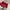 Tas mcm bucket murce aja  photo 5