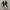 Converse Chuck Taylor All Star 70S Low Black White photo 3