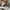 Converse Chuck Taylor All Star 70S Low Black White photo 5