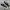 Converse Chuck Taylor All Star 70S Low Black White photo 1
