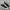 Converse Chuck Taylor All Star 70S Low Black White