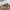 Polo Ralph Lauren Casual Sportswear Polo Shirt Pria Tan