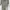 Hush Puppies Casual T-shirt Wanita gray photo 3
