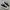Converse Chuck Taylor All Star 70S Low Black White
