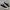 Converse Chuck Taylor All Star 70S Low Black White