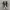 Converse Chuck Taylor All Star 70S Low Black White photo 2