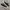 Converse Chuck Taylor All Star 70S Low Black White photo 1