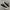 Converse Chuck Taylor All Star 70S Low Black White