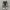 Converse Chuck Taylor All Star 70S Low Black White photo 2
