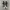 Converse Chuck Taylor All Star 70S Low Black White photo 2