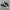 Converse Chuck Taylor All Star 70S Low Black White photo 1