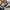 Converse Chuck Taylor All Star 70S Low Black White photo 6