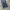 Journal Standard Patchwork Leather with Buckle Denim photo 7