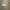 Case Iqoo Z7x Bawaan Ponsel Belum Pernah Dipakai Asli Origin photo 1