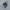 Asics Gel Kahana TR V4 Carbon Black photo 1