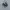 Asics Gel Kahana TR V4 Carbon Black photo 2