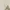 Jeans loose kulot gombrong krem cream brand classical elf photo 6