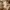 Dress brand warna putih dan coklat rempel mekar photo 4
