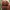 Boots Timberland Boots yellow icon Timberland jorts pants photo 6