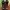 Boots Timberland Boots yellow icon Timberland jorts pants photo 5