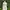 Open Auction Liz Lisa Himekaji Dress Kawaii Rare Item 