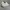 AUTRY DALLAS LOW TOP WHITE   photo 4