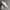 GERMANY ARMY TRAINER / GAT  photo 5