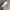 GERMANY ARMY TRAINER / GAT  photo 4