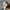 GERMANY ARMY TRAINER / GAT  photo 10