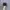 Vans Slip On Full Black photo 4