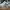 Original Skechers D'Lites  Low Running Shoes White 