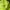 Puma Sportswear Casual Jersey Pria green photo 2