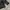 The North Face Gorpcore Sportswear Windbreaker Pria black photo 3