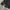 The North Face Gorpcore Sportswear Windbreaker Pria black photo 4