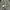 CONVERSE ONE STAR  photo 5
