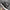 CONVERSE ONE STAR  photo 3